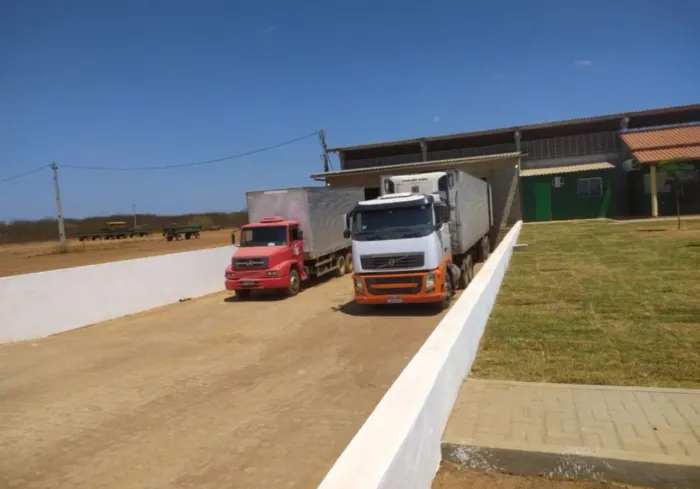 Motorista particular ou de cargas 