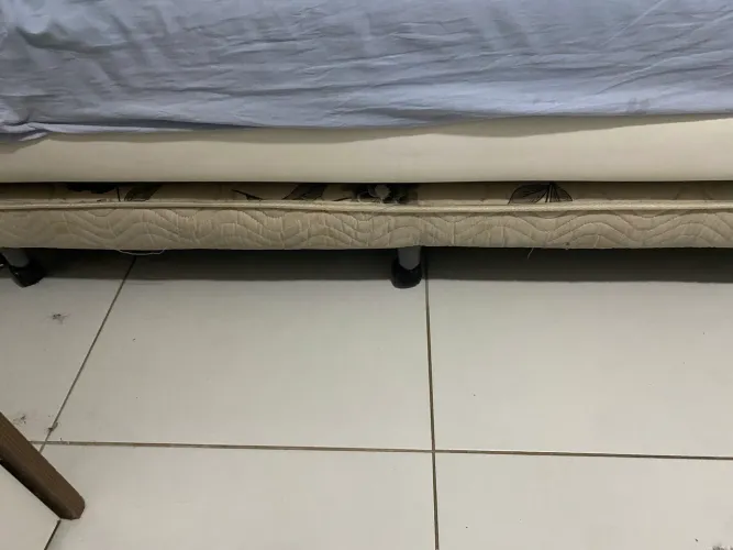 Bicama solteiro box Ortobom 