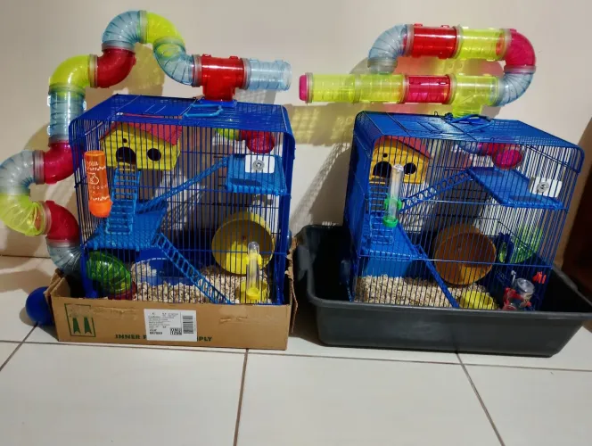 Gaiola Hamster