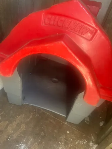 Casa cachorro