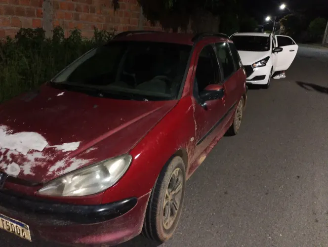 Peugeot 206 SW Presence 1.4/ 1.4 Flex 8V 5P 2005