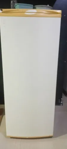 Vendo geladeira 