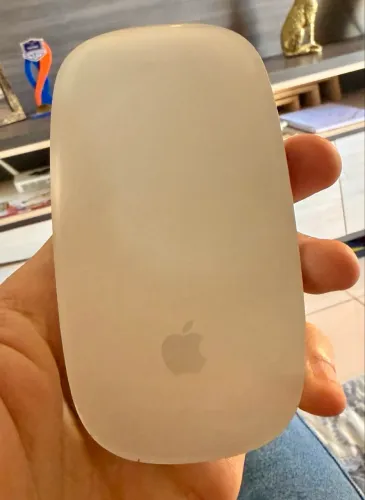 Mouse Magic Apple