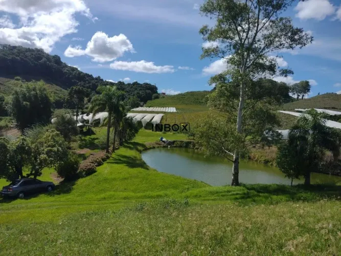 INBOX CIA IMOBILIARIA VENDE, ÁREA DE TERRA NO CAMINHOS DE PEDRA EM BENTO GONÇALVES