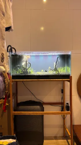 Aquário 63L
