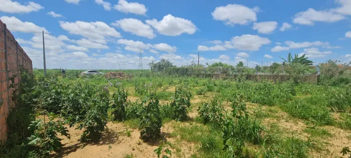 Excelente oportunidade de adquirir um terreno para uma mini chácara. 50 mil 20x30