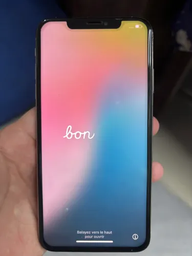 iPhone XS Max 256 GB
