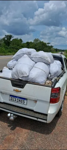 Vendo adubo de boi pego no curral do boi 