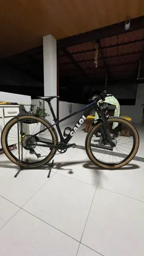 Caloi Elite Carbon