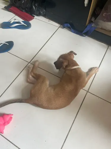 Doação