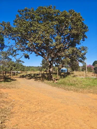 Fazenda à venda | Caetanópolis/MG (praticamente dentro da cidade!)