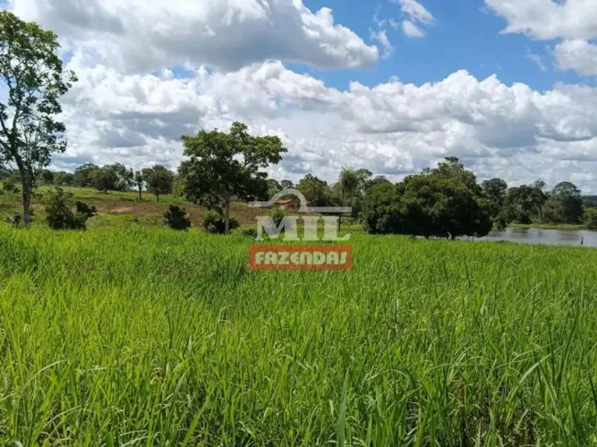 Fazenda 90 alqueires (435,6 hectares) Amaralina - Go