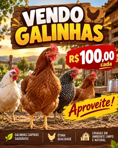 VENDO GALINHAS POEDEIRAS NOVOGEN LOTE NOVO COMEÇOU A POSTURA RECENTE