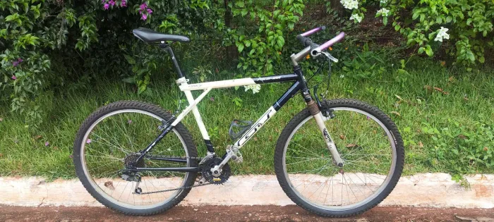 Bicicleta GT Palomar
