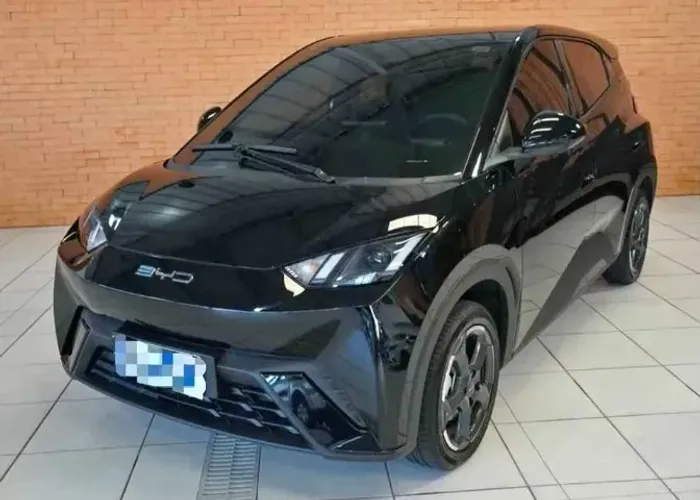 BYD Dolphin Mini (Elétrico) 2024