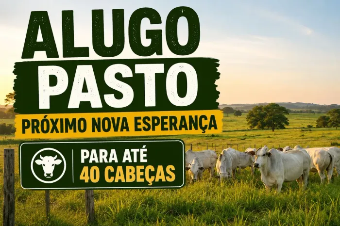 Aluguel de pasto