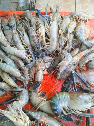 Mariscos 