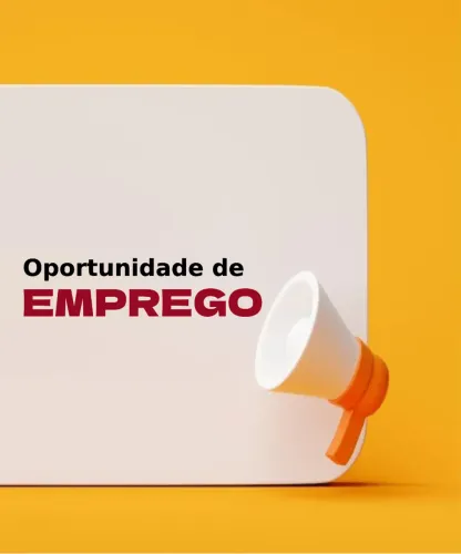 Auxiliar de Logística / Embalador de Pedidos e-commerce