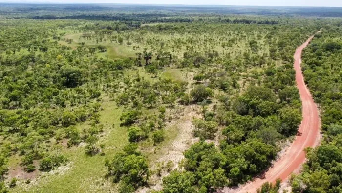 Fazenda em Plano Diretor Sul - Palmas