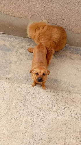 Doação 