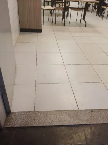 Faxineira