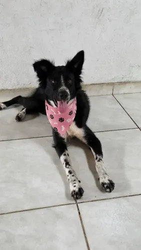 DOAÇÃO RESPONSAVEL