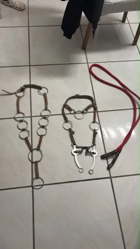 Traia de frete na cordinha