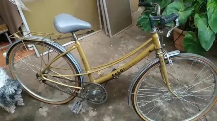 Bicicleta Caloi Ceci