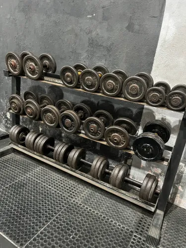 10 pares de halteres com suporte