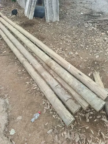 Postes de eucalipto tratado