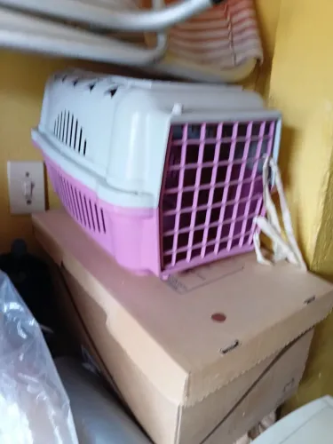 Transporte para seu pet