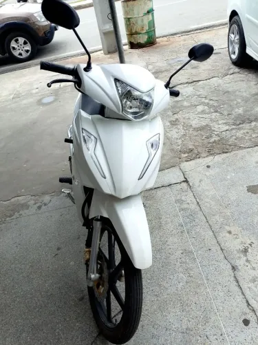 vendo aveloz no Preço pra vender Rápido