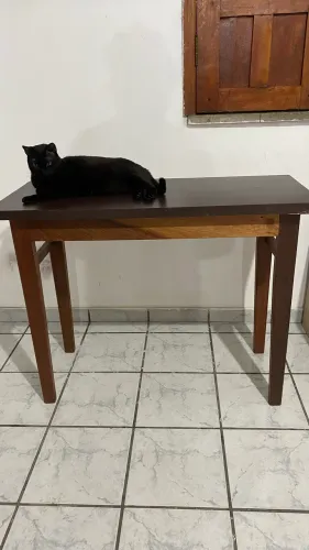 Mesa de Apoio