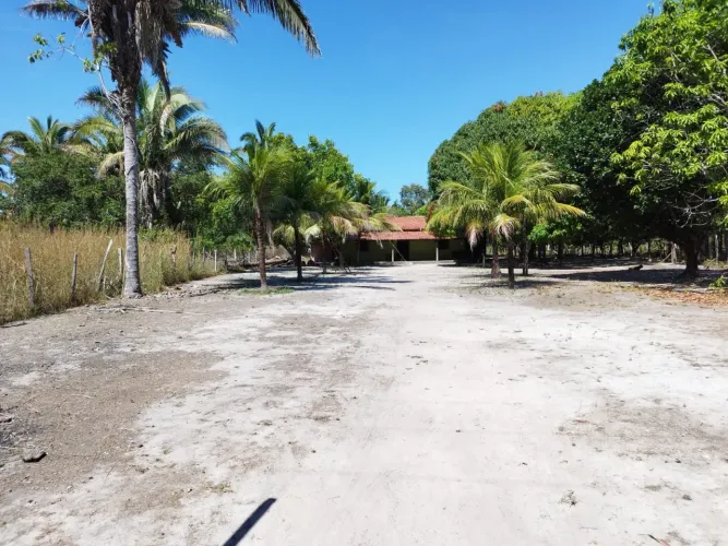 Fazenda Piauí Soja, pecuária Terra, área norte do Piauí LEIA A DESCRIÇÃO
