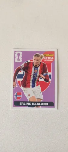 Figurinha Legend Bordô Braut Haaland