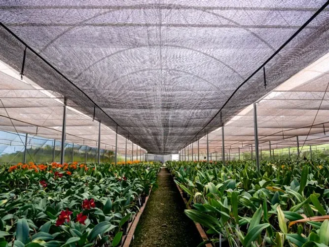 Tela Sombreamento Preta 80% 4,5m X 50m Proteção Cobertura