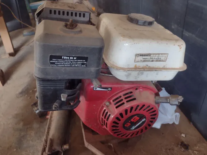Motor de polpa, marca BRANCO 4t 5,5 incluindo a palheta