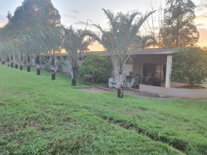Fazenda à venda, KM 1, Miguelópolis, SP