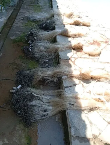 Malhadeiras pesca ?