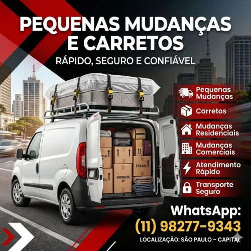 CARRETO E MUDANÇA PEQUENA