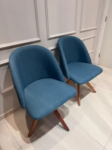 Elegantes Poltronas Usadas Ótimo Estado