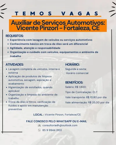 Auxiliar de serviços automotivos - bairro Vicente Pizon