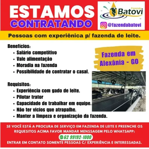 Vaga de emprego em fazenda de leite em Alexânia Goiás.