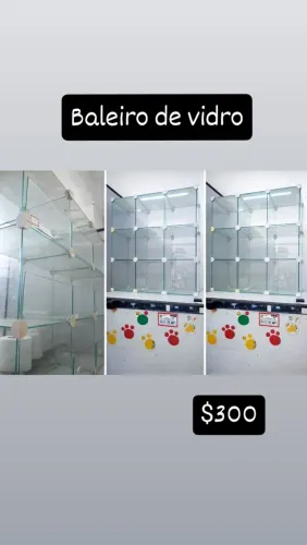 Baleiro de vidro 