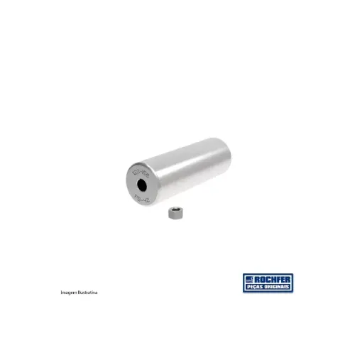 Pistão De Inox M-pb-42 ROCHFER