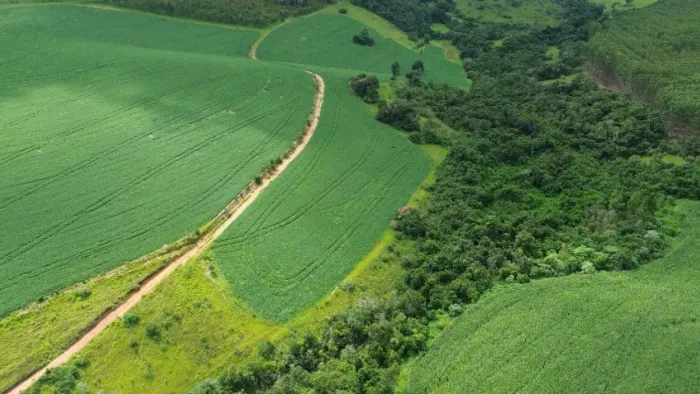 OPORTUNIDADE ÚNICA EM AIURUOCA/MG - SÍTIO 15 HA. PRODUTIVO COM ÁGUA E EXCELENTE ESTRUTURA