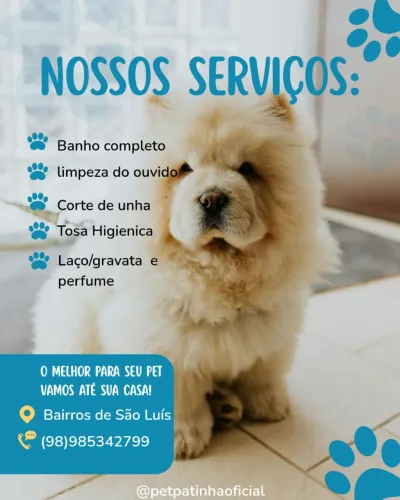 Banho e Tosa ( A Domicílio)