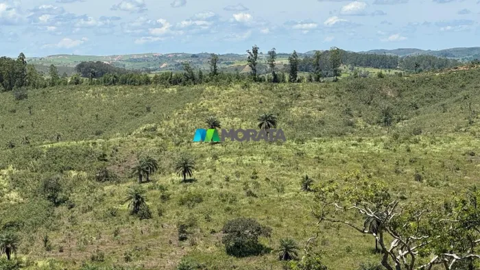 FAZENDA À VENDA - 108 HECTARES - TAPIRAÍ (MG)
