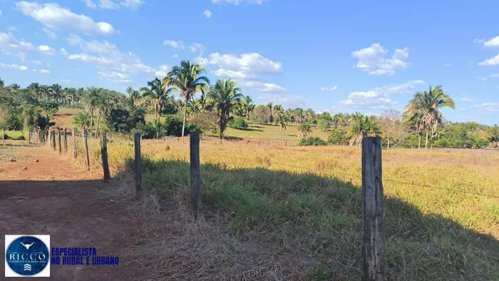 FAZENDA À VENDA 225 ALQUEIRES | PALMEIRAS TO