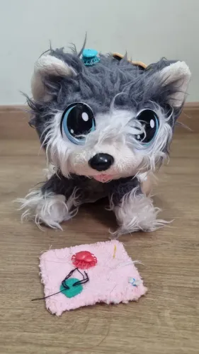 Cachorrinho cuida de mim
